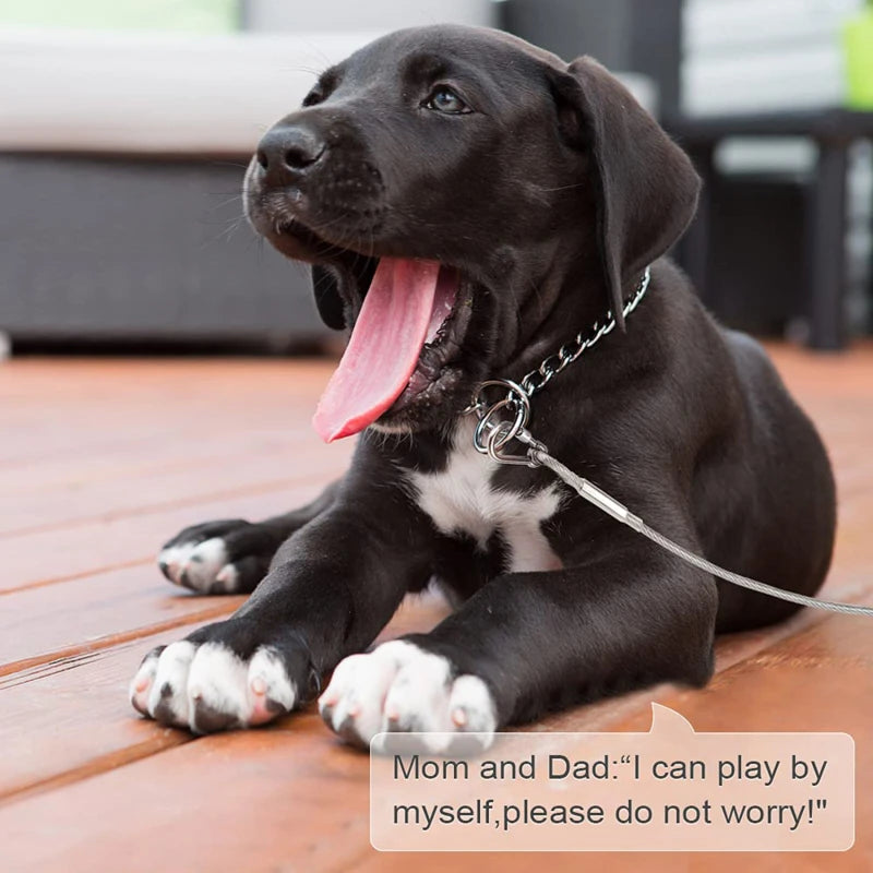 Pet Outdoor Double Hook Extended Steel Wire Rope Dog Rope Pet Traction Rope Anti Bite Dog Chain Metal Hooks Pet Supplies