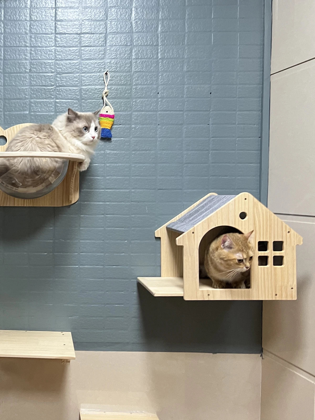 Cat Wall Climbing House Shelf Bed Wall Mounted Tree Tower Hiding House Villa Castle for Indoor Cats Accessories Sleeping