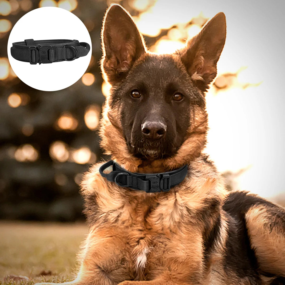 Pet Traction Rope  Pet Walking Jogging Outdoor Training Adjustable Safety Nylon Pet Collar Pet Traction Rope Dog Accessories