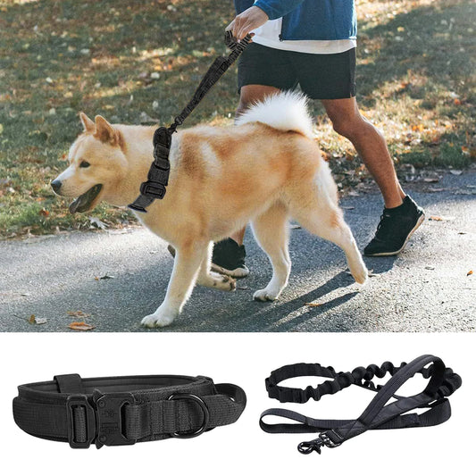 Pet Traction Rope  Pet Walking Jogging Outdoor Training Adjustable Safety Nylon Pet Collar Pet Traction Rope Dog Accessories