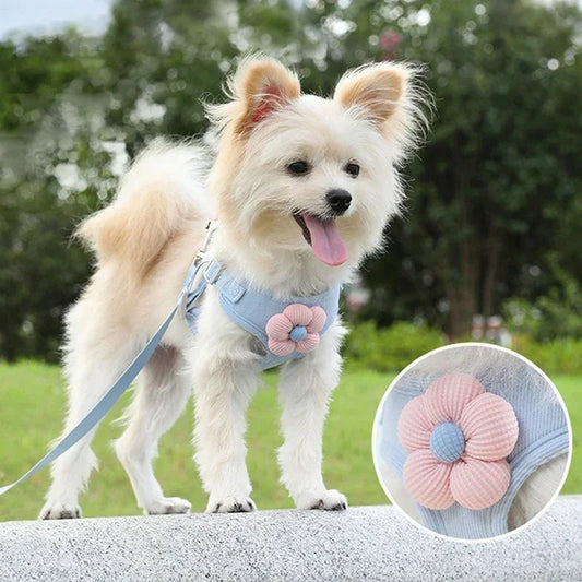 Pet vest traction rope dog cartoon three-dimensional accessories Teddy walking dog rope cat going out chest and back protection