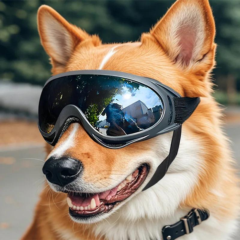 Pet Adjustable Dog Goggles Sunglasses Anti-UV Sun Glasses Eye Wear Protection Black Widely Used Dog Sunglasses Pet Dog Supplies